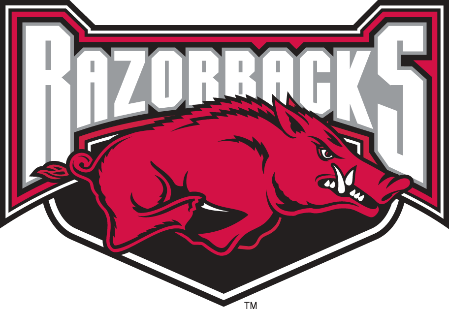 Arkansas Razorbacks 2001-2008 Alternate Logo t shirts iron on transfers v2